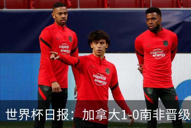 世界杯日报：加拿大1-0南非晋级创历史 韩国主帅洪明甫下课